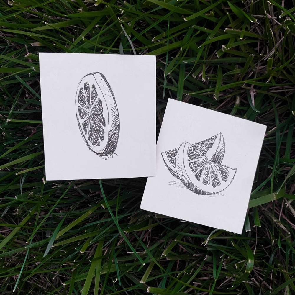 Mini citrus art drawing bundle
